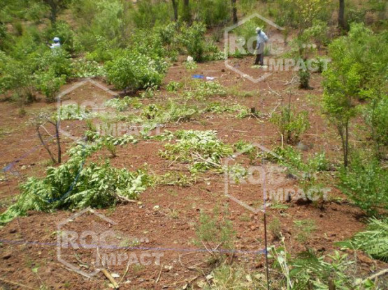Installation complète de concassage pour la société FIBROMAT au MALI